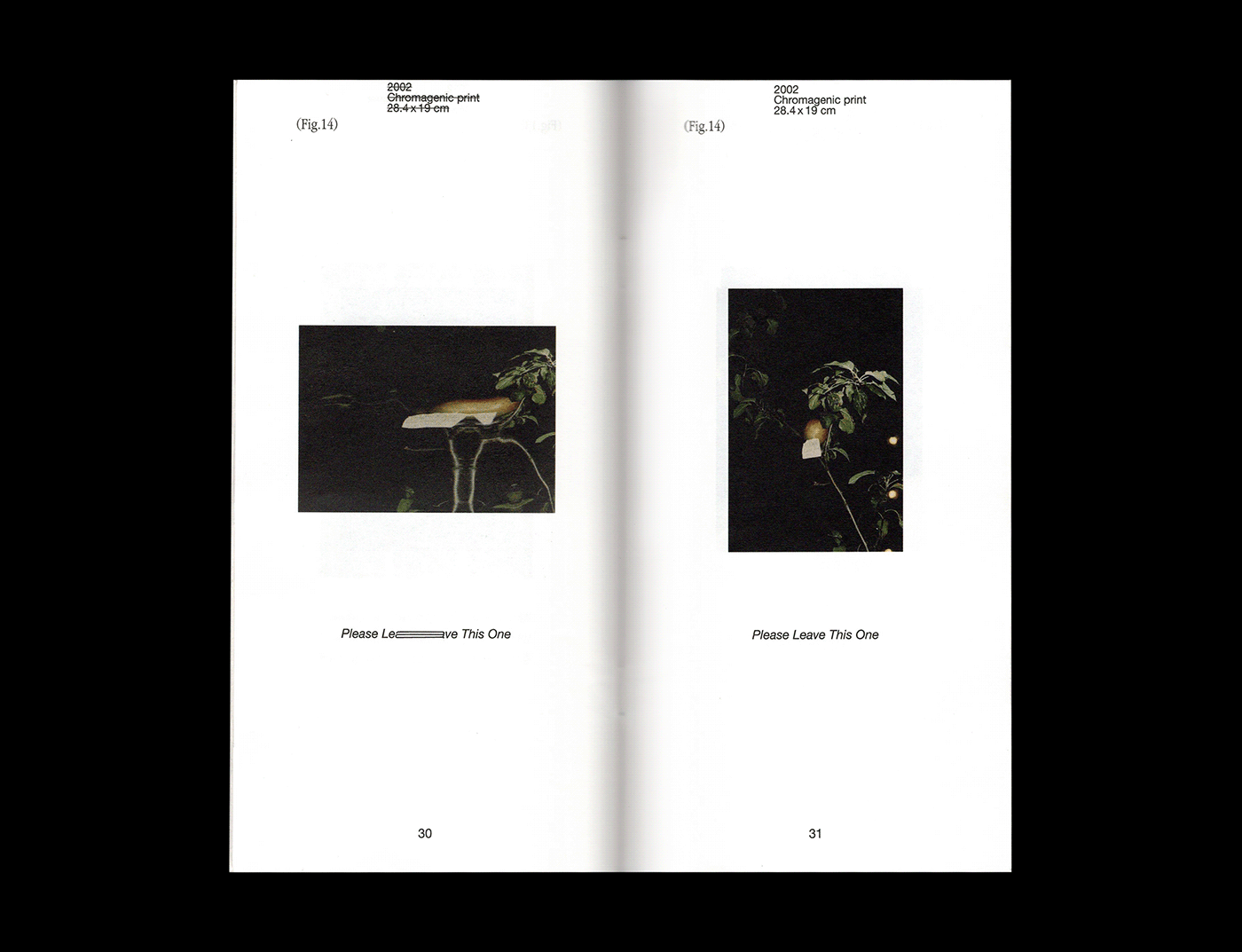 editorial editorial design  Photography  scan wolfgangtillmans book magazine Layout print typography  