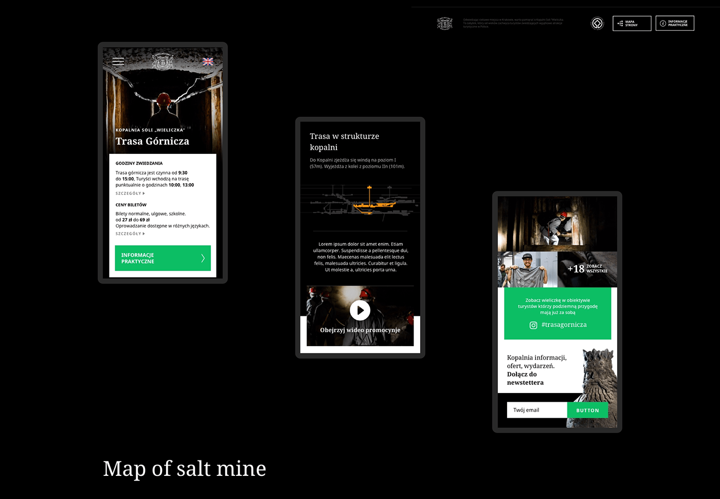 Experience Interface mobile salt mine  UI ux Web Webdesign Website
