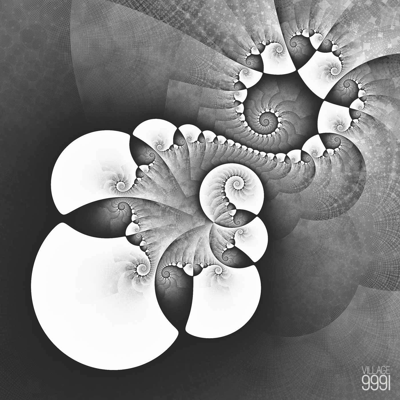 bnw complex fractal geometry graphics ILLUSTRATION 