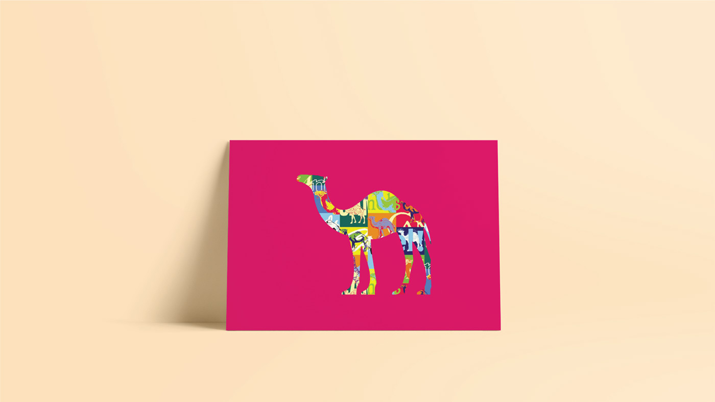 camel design ILLUSTRATION  package