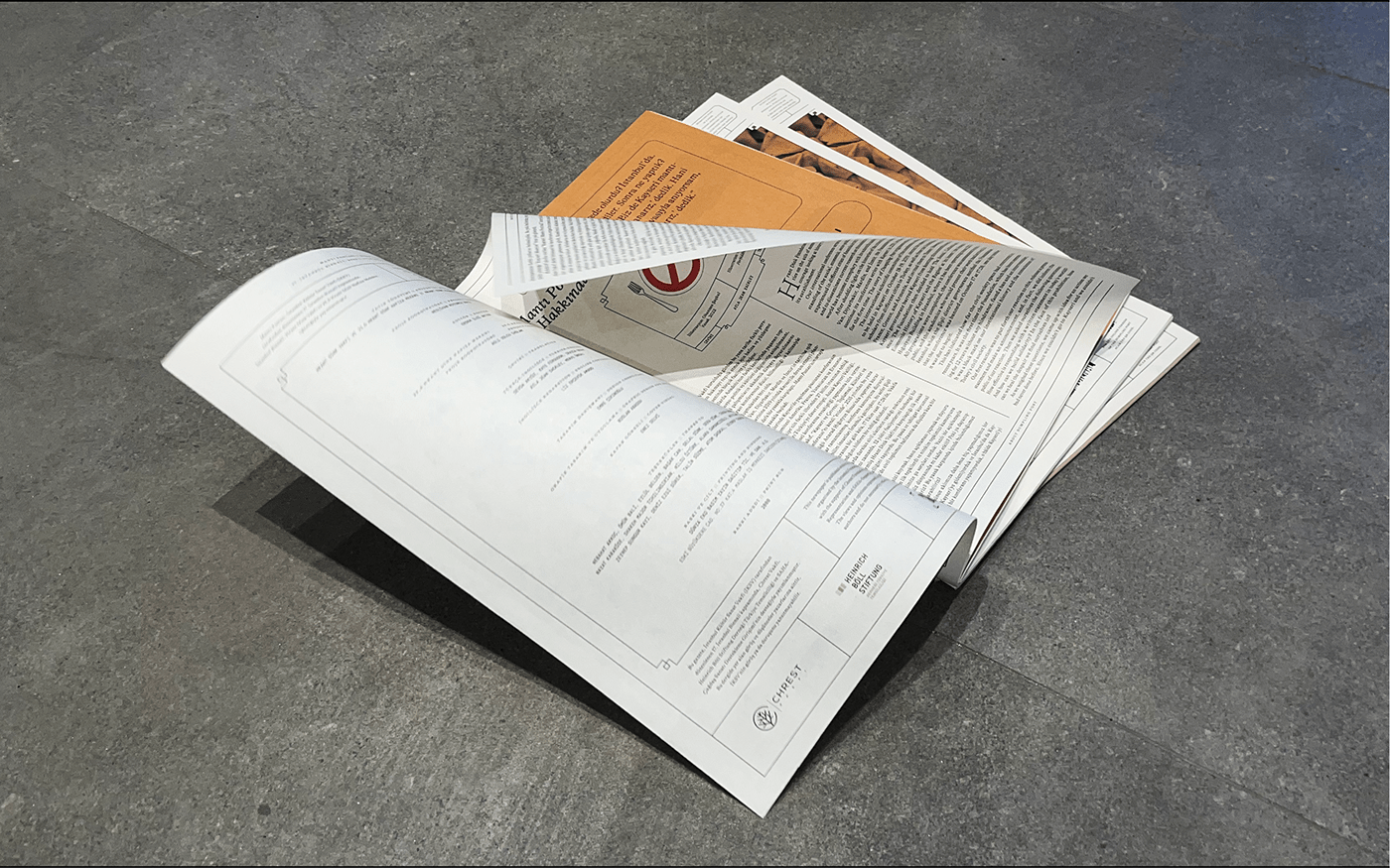 art direction  editorial editorial design  graphic design  Magazine design mantı postası newspaper newspaper design UI/UX Zine 
