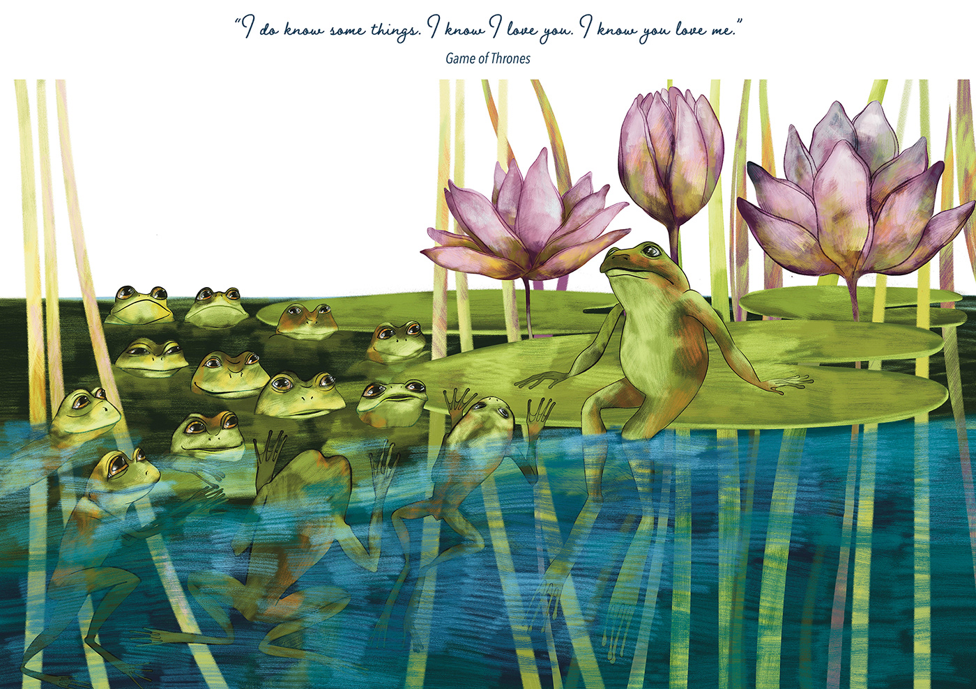book book cover Nature frog Love children's book children illustration