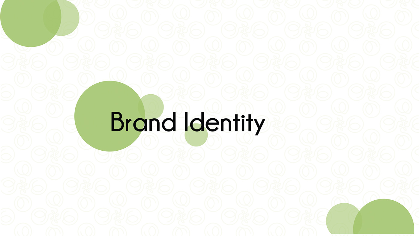 brand identity brand ideology branding  Dry fruits Logo Design