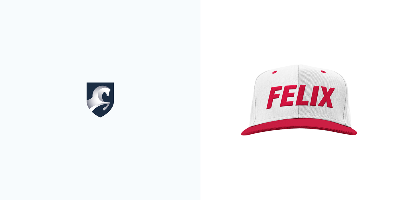 antifreeze brand identity branding  logo Packaging rebranding