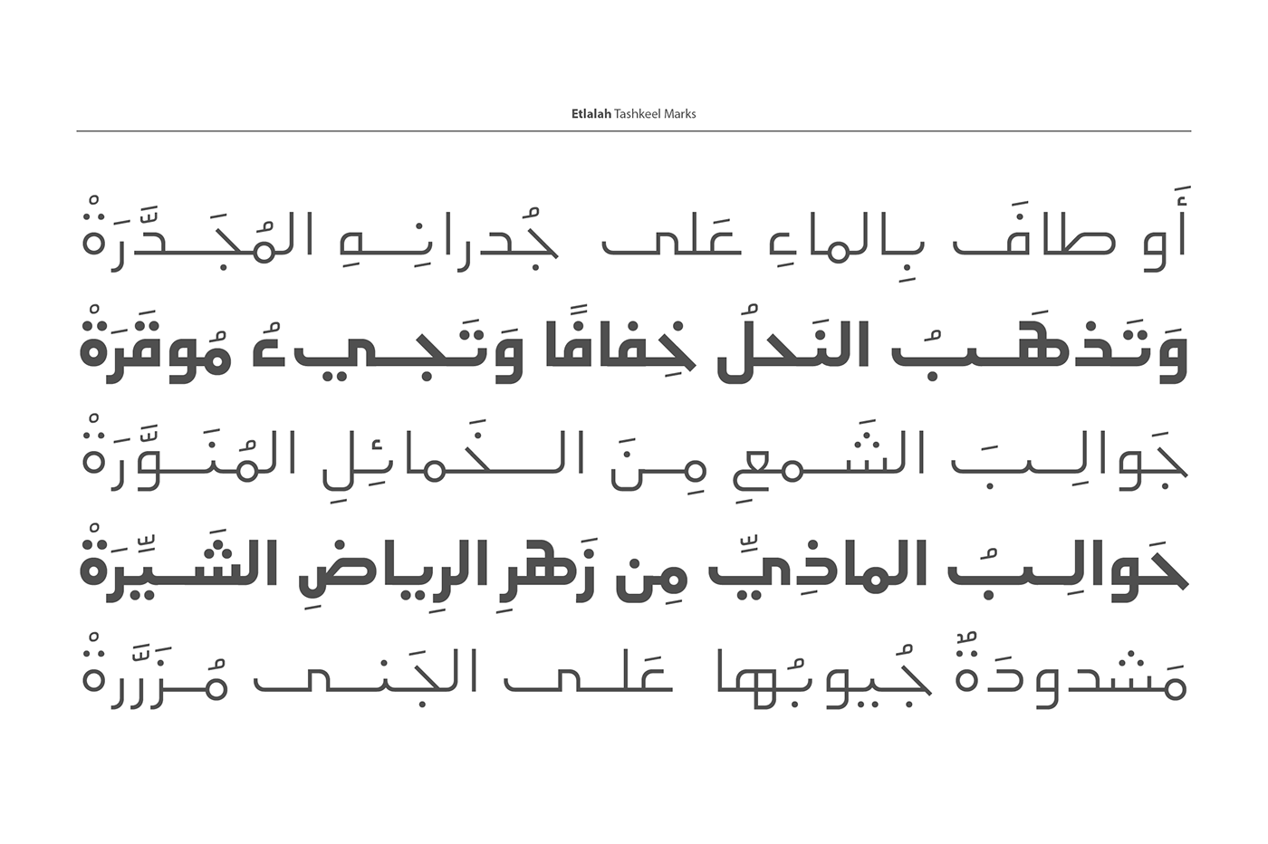 arabic font Typeface geometric simple خط عربي تايبوغرافي