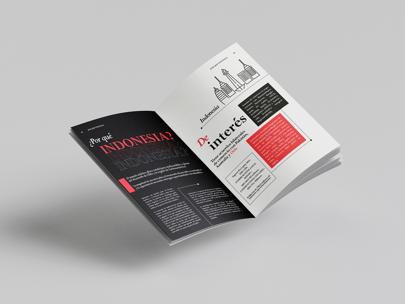 corporative cover design diagram editorial design  graphic design  Layout magazine Magazine design print