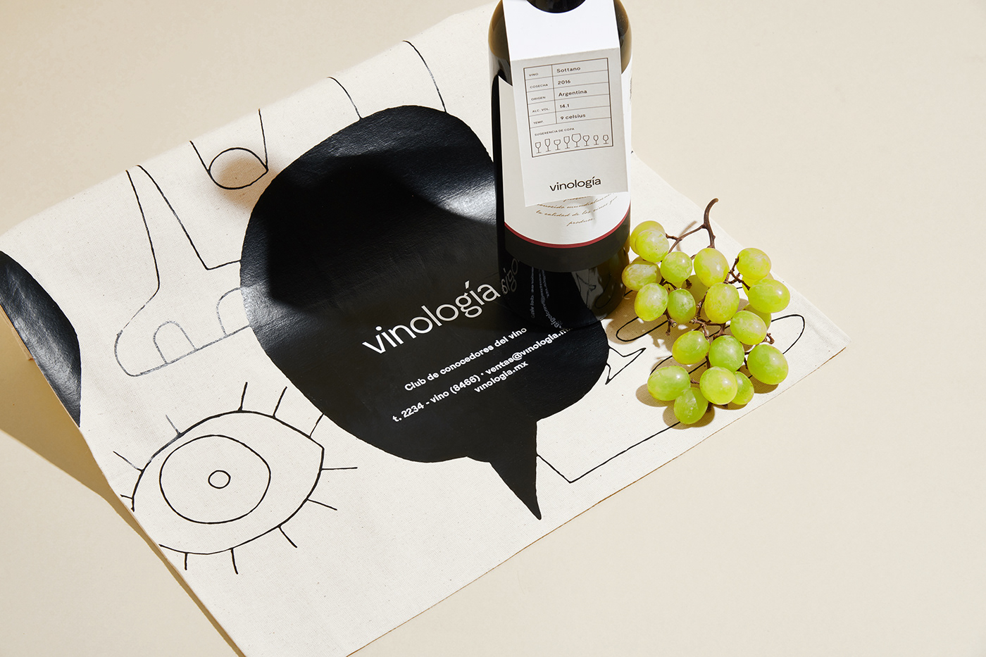 wine ILLUSTRATION  parametro design graphicdesign vino Vinología logo font Typeface