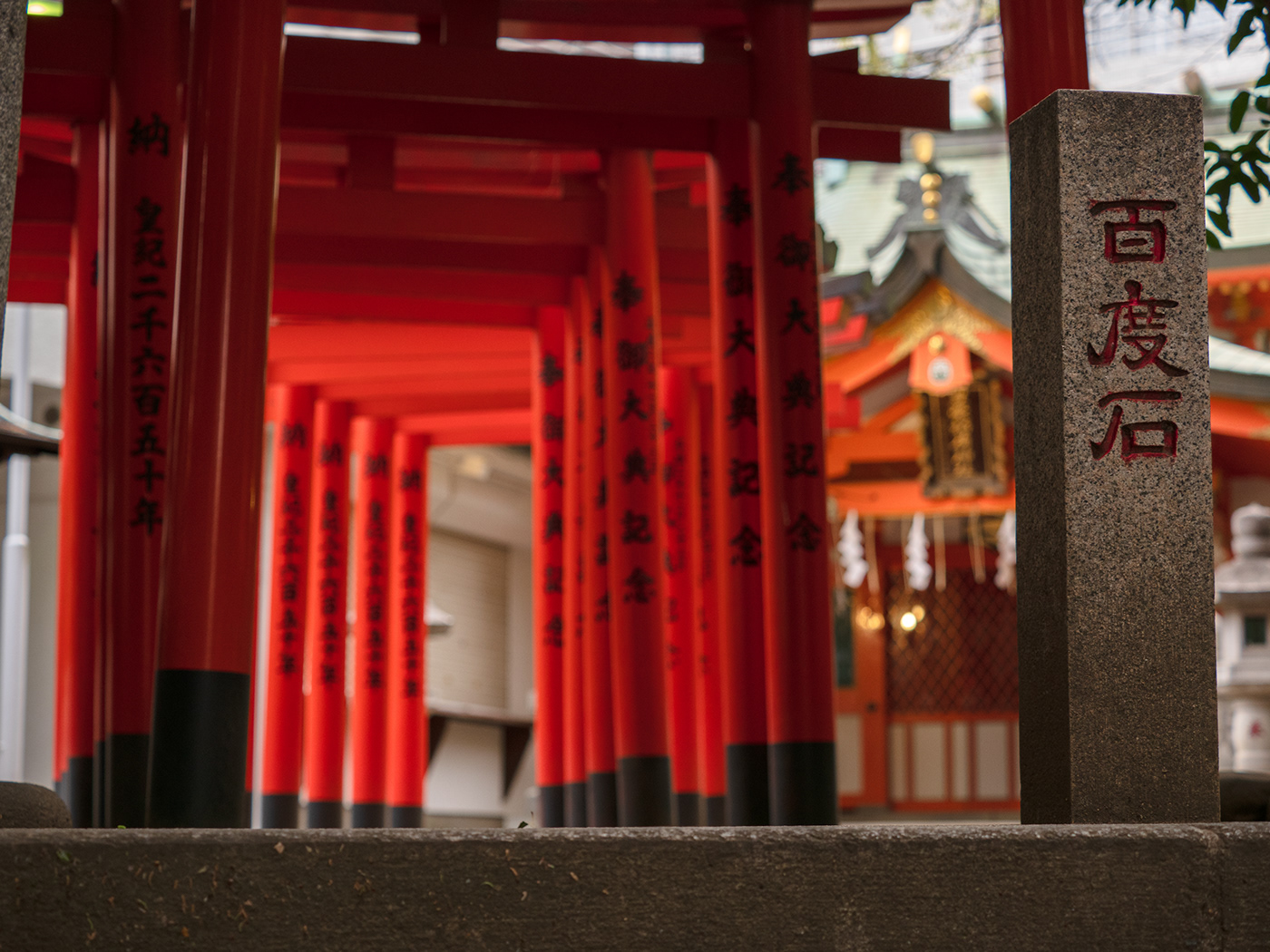 Shrine torii SHIBUYA tokyo japan red