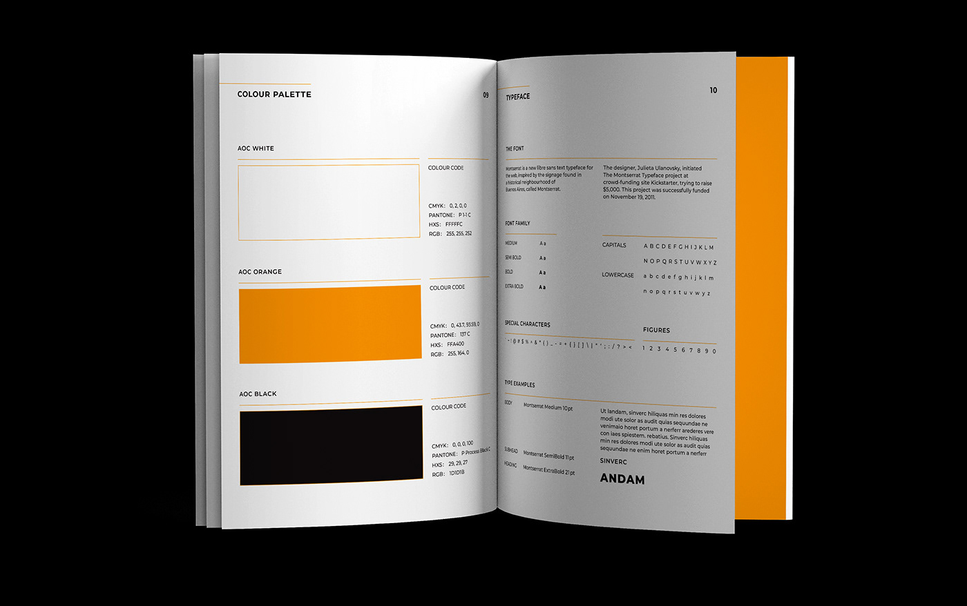 graphic design  brand identity Print publication Brand Guideline Book publication design branding  logo design
