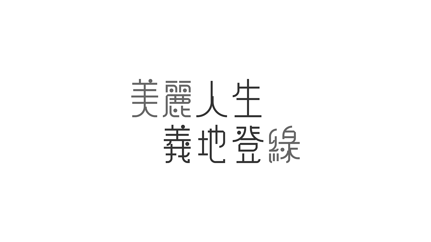 type type design typography   chinese type Chinese typography graphic design 
