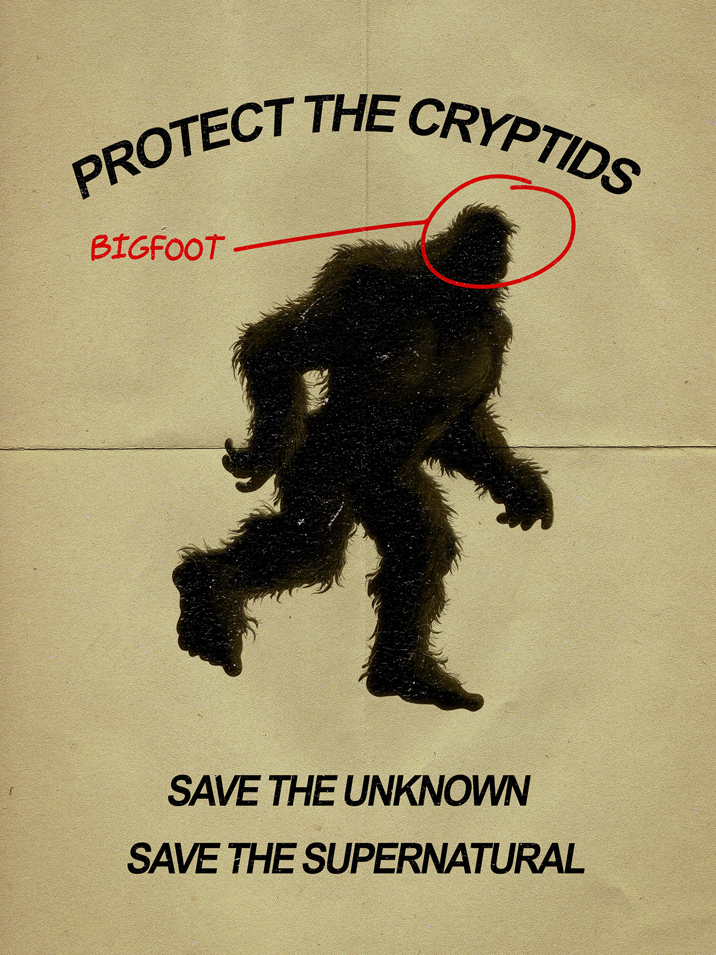 cryptids design marketing   poster