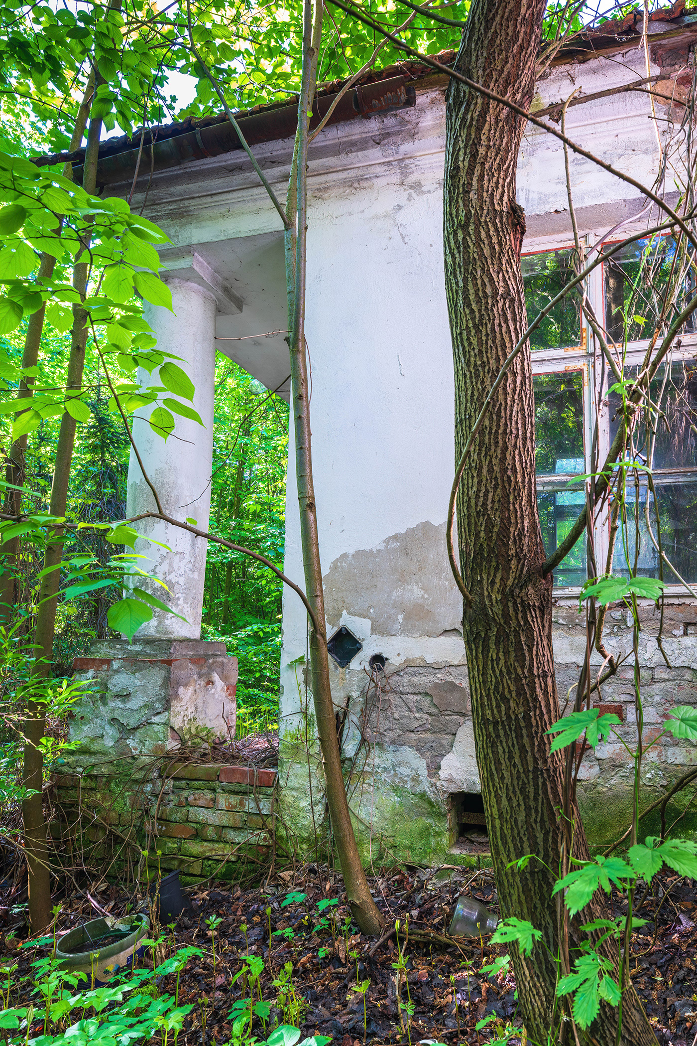 dilapidated house lusina górka manor house old Tree  village
