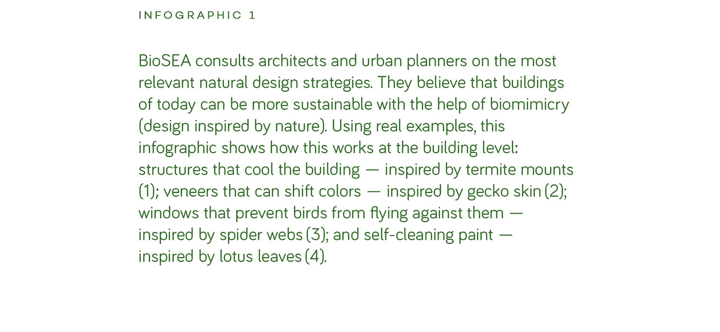 infographic ILLUSTRATION  biomimicry eco architecture Nature Sustainable Design Johannes Fuchs