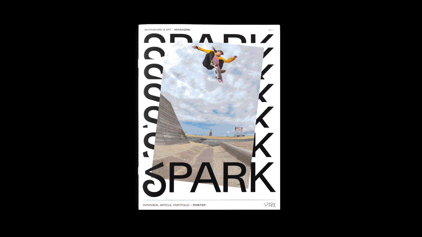 book design design editorial graphic design  Layout magazine poster print skateboard typography  