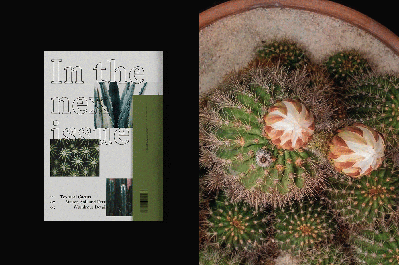 editorial magazine plants black Mockup Succulents design inspire inspiration
