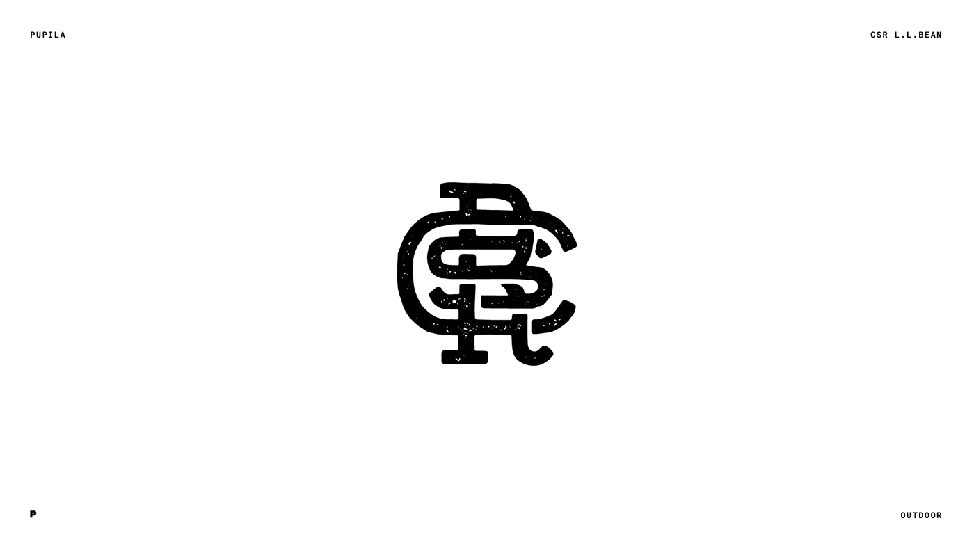 logo logofolio branding  Icon symbol Costa Rica identity brand typography   Logotype