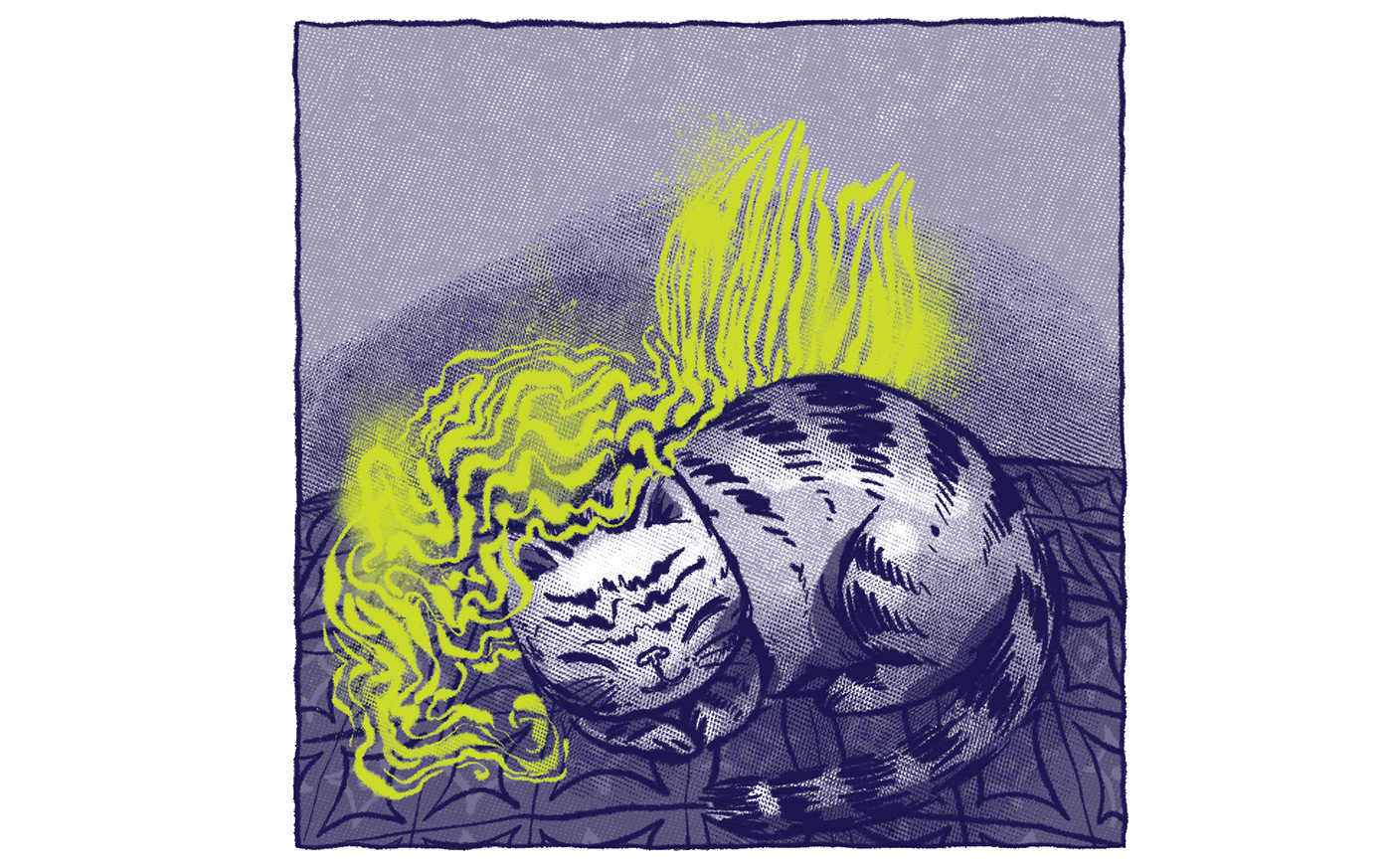 Cat comic Digital Art  Drawing  Gato ILLUSTRATION  ilustracion Procreate Zine 