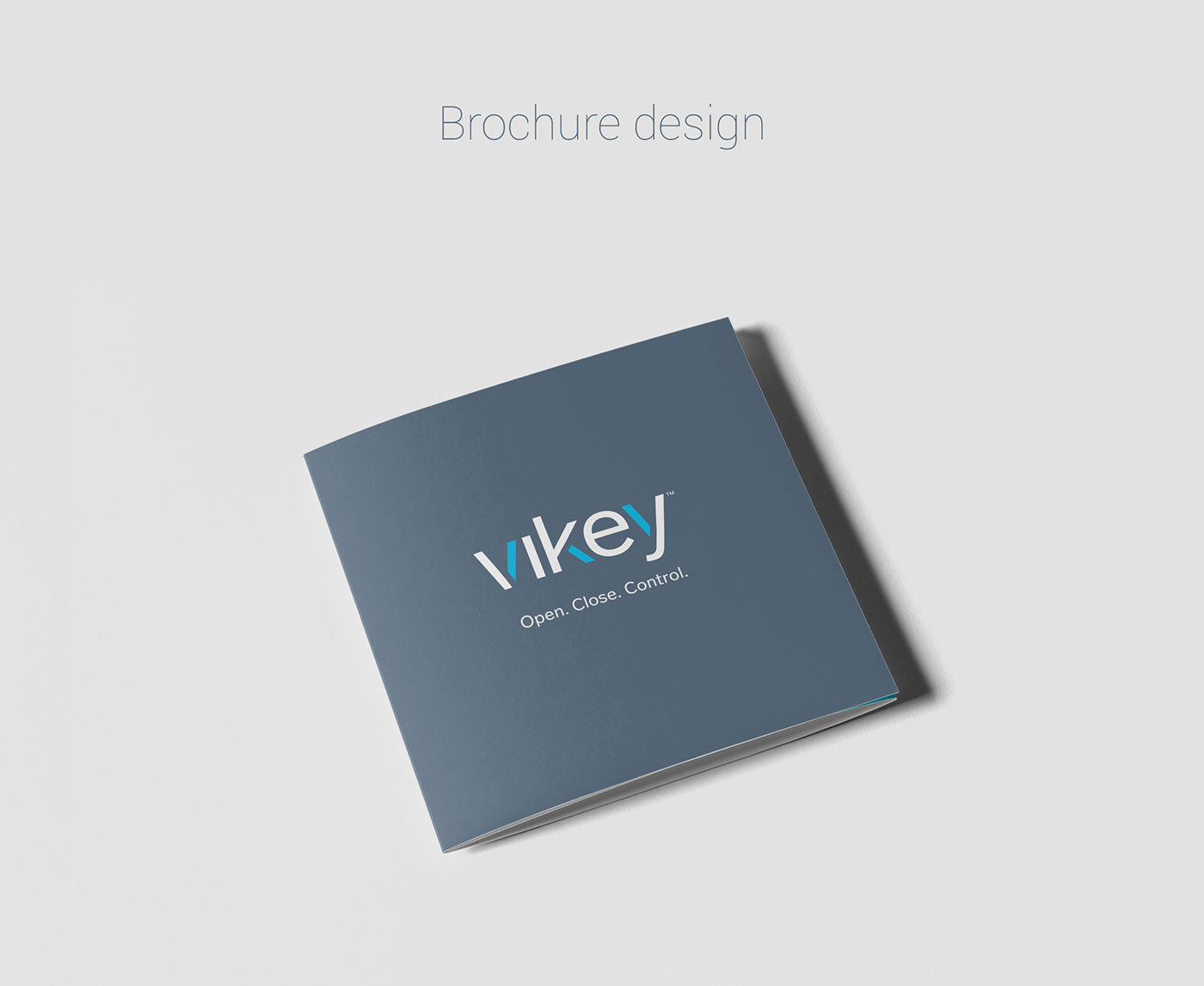 Logo Design Web Design  ux UI material design app design UI/UX Website Home Rental Internet of Things