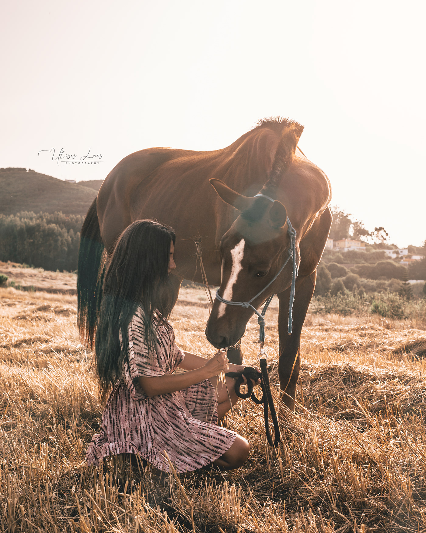 Atardecer caballos Chicas corcel Fotografia Fotos modelos