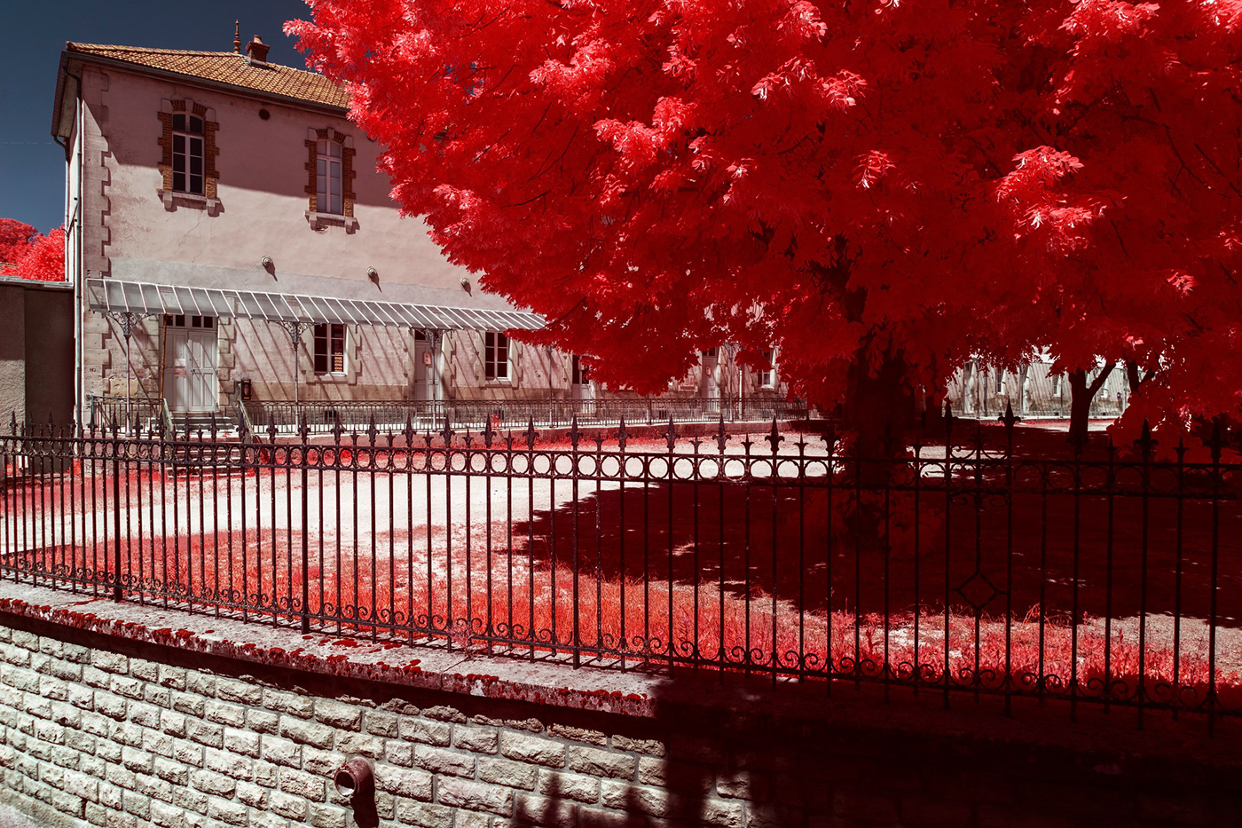 Aerochrome france infrared infrared photography kolarivision Landscape Nature Photography  reportage series
