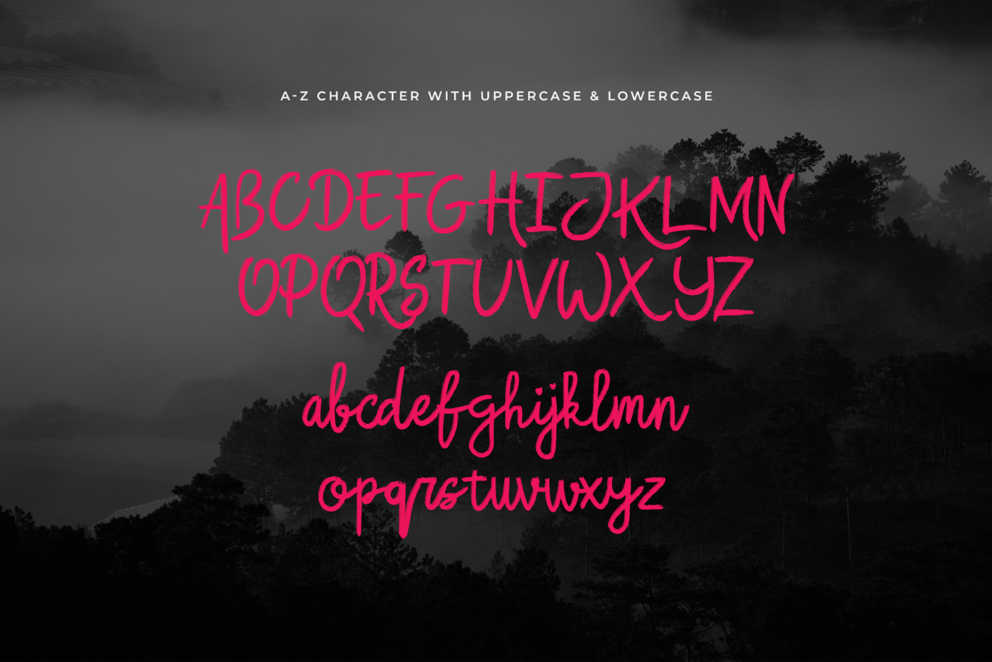 bold brush Fashion  font Script typography   vlog