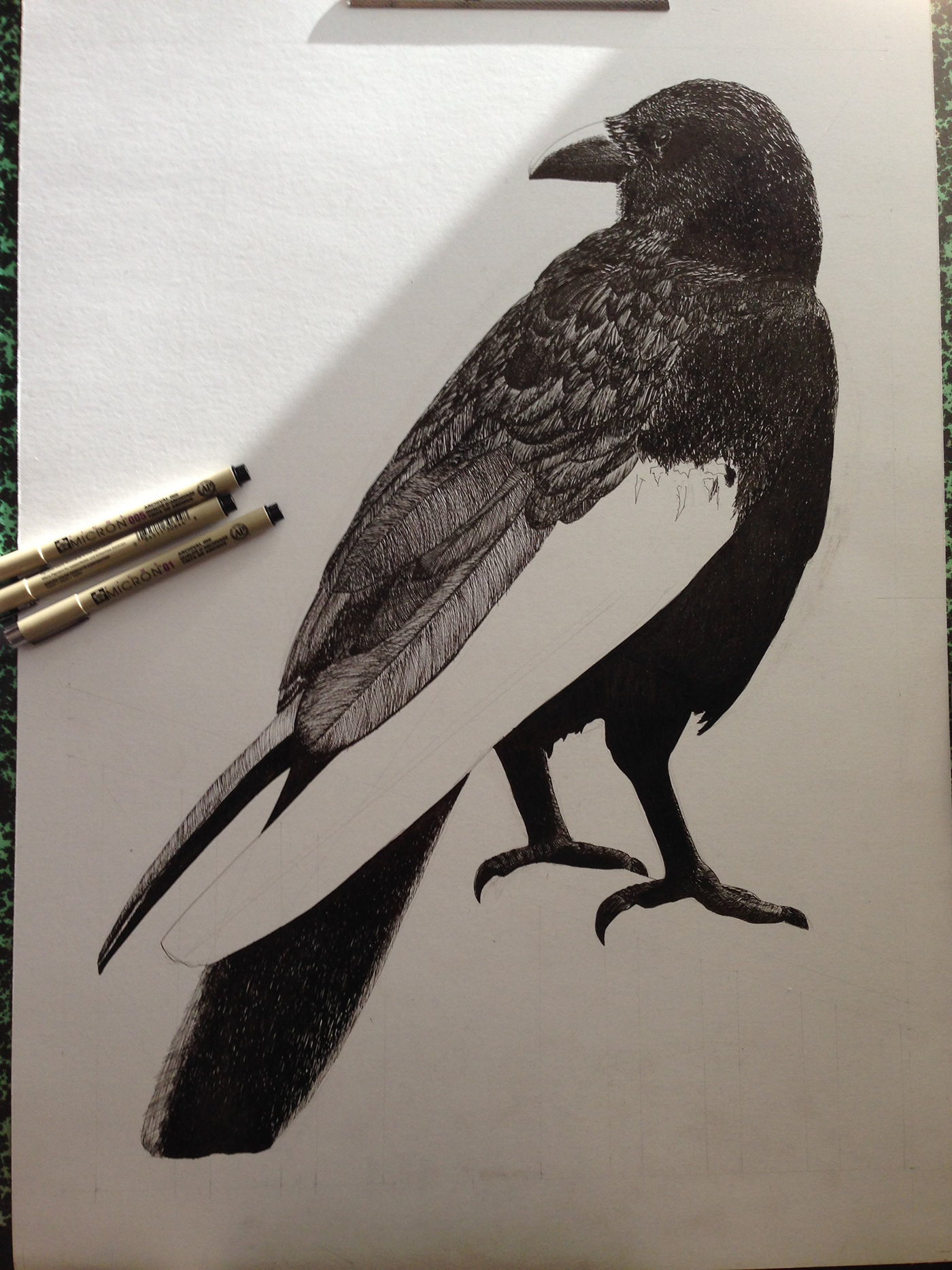 crow raven black big project dessin +Drawing+ ink pigma sakura