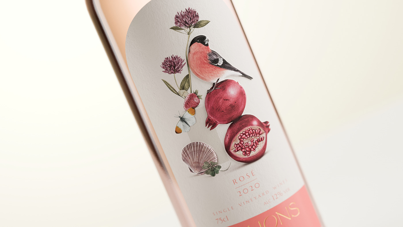 botanical illustration Brand Design branding  ILLUSTRATION  label design visual identity watercolour wine wine label Wine Packaging
