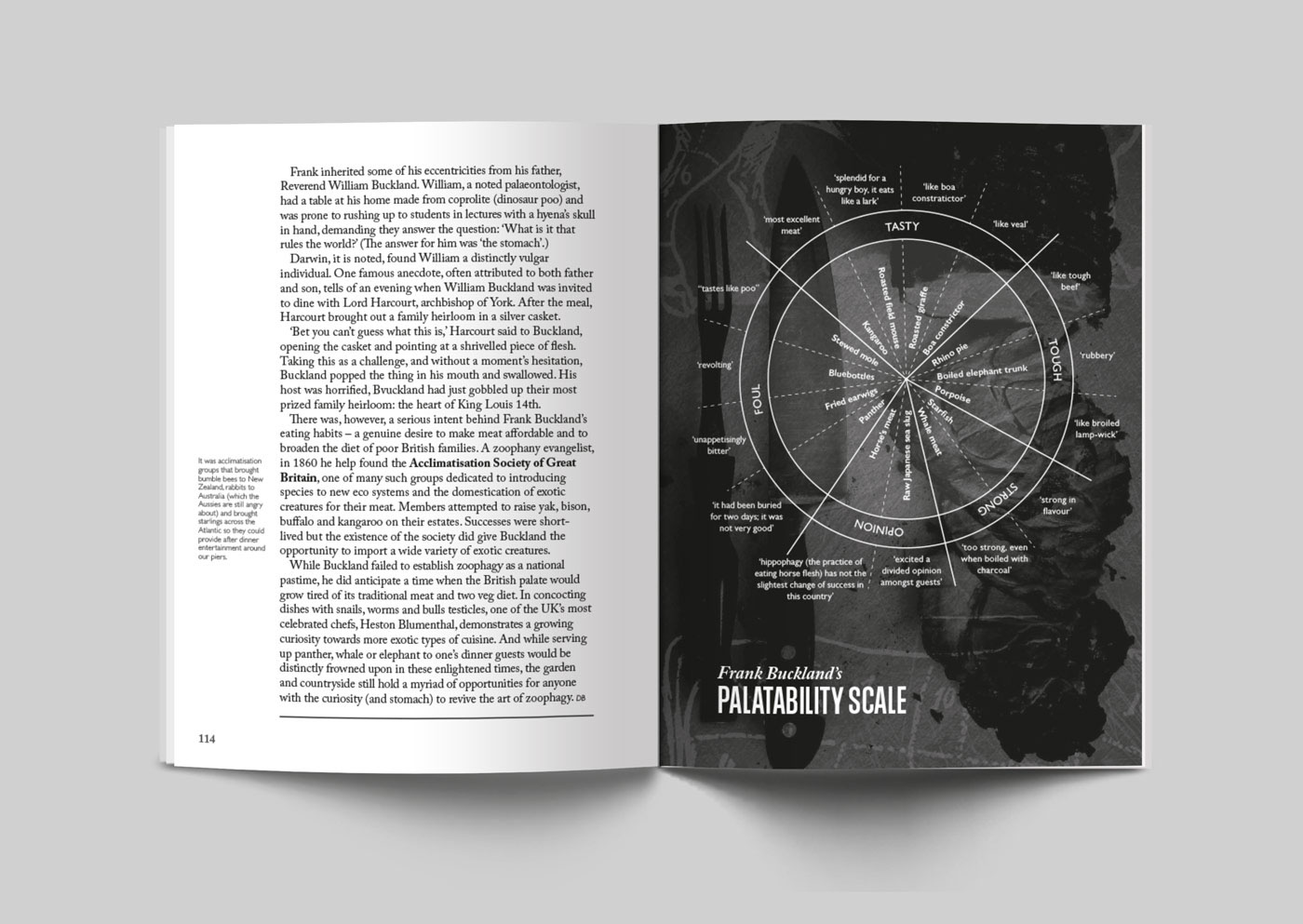 Bookdesign amazonbestseller infographics typography   ernestjournal hodderandstoughton