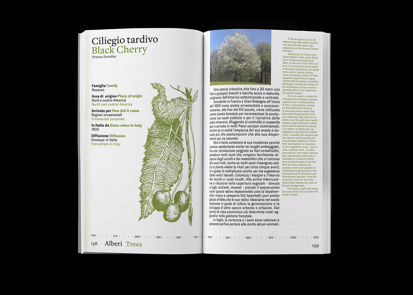 atlas design book design design editorial design  graphic design  illustrations issue Layout Nature type