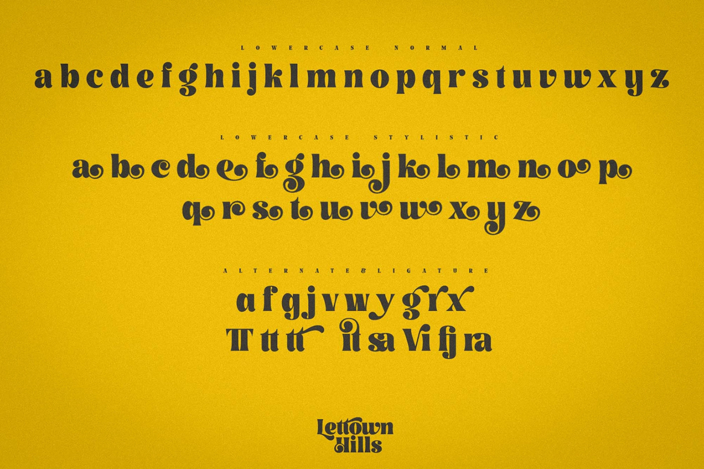 Calligraphy   font font design paragraph text text design type logo Typeface typeface design typography  