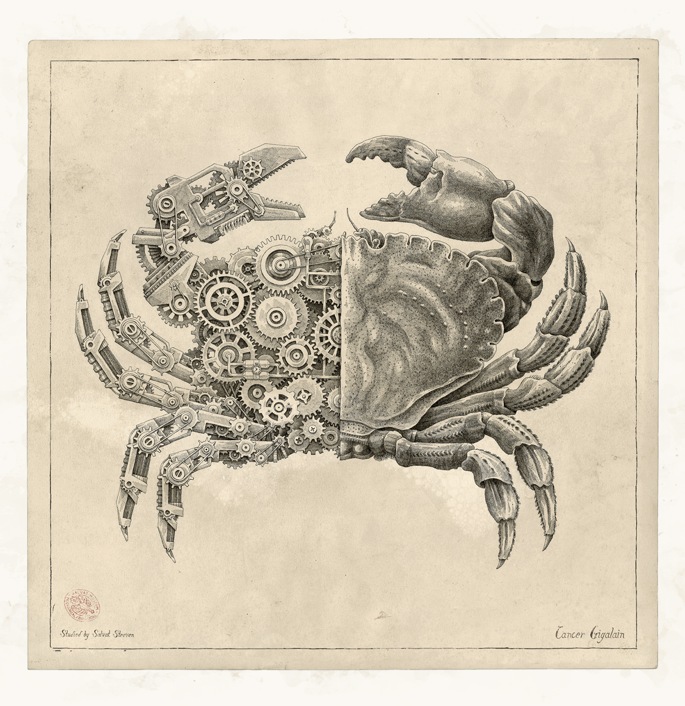 shell crustacean gears machine Rouages biological study hatching font STEAMPUNK