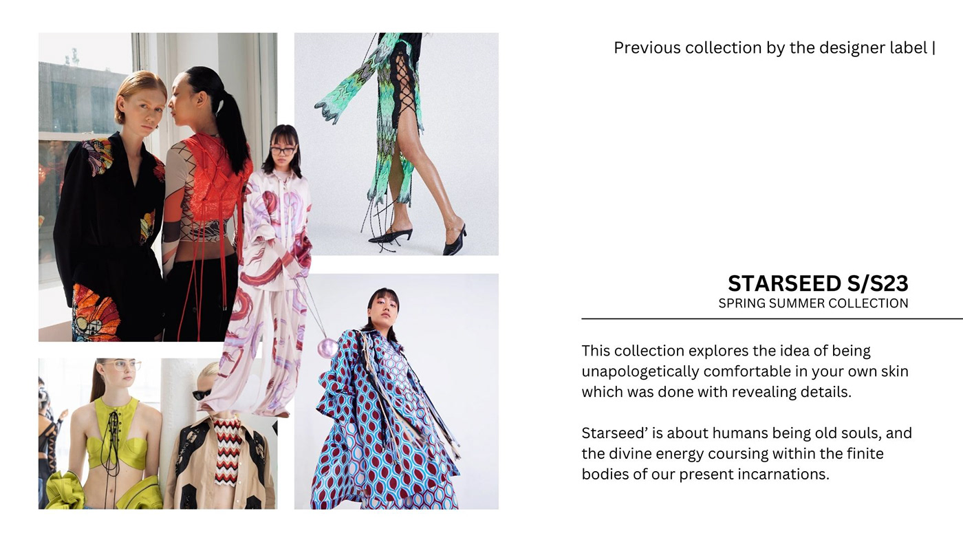 Brand Analysis Surface Embellishments fashion illustration Procreate concept