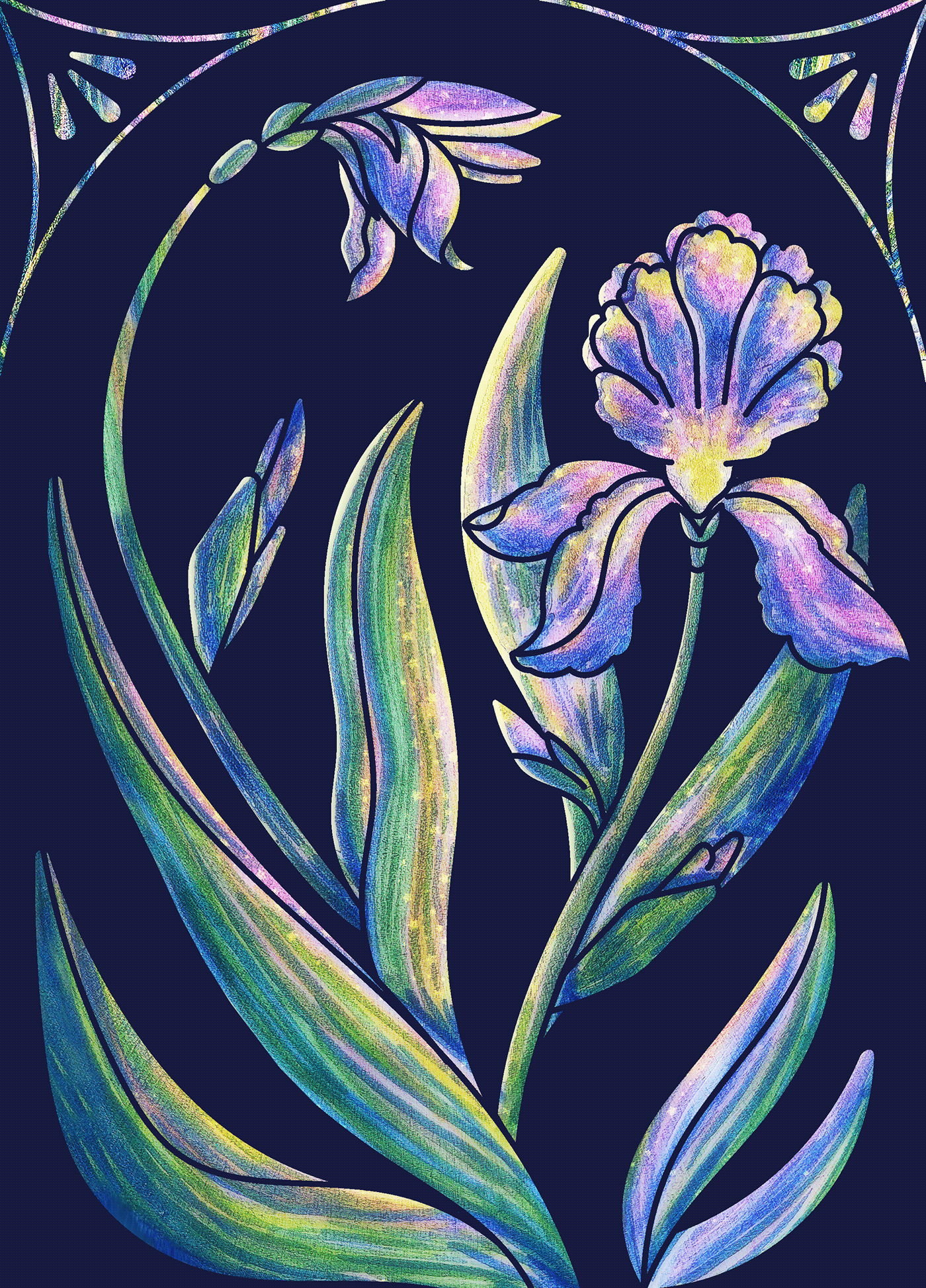 mixed media textures floral Flowers iris Irises fantasy markers editorial Flower Illustration
