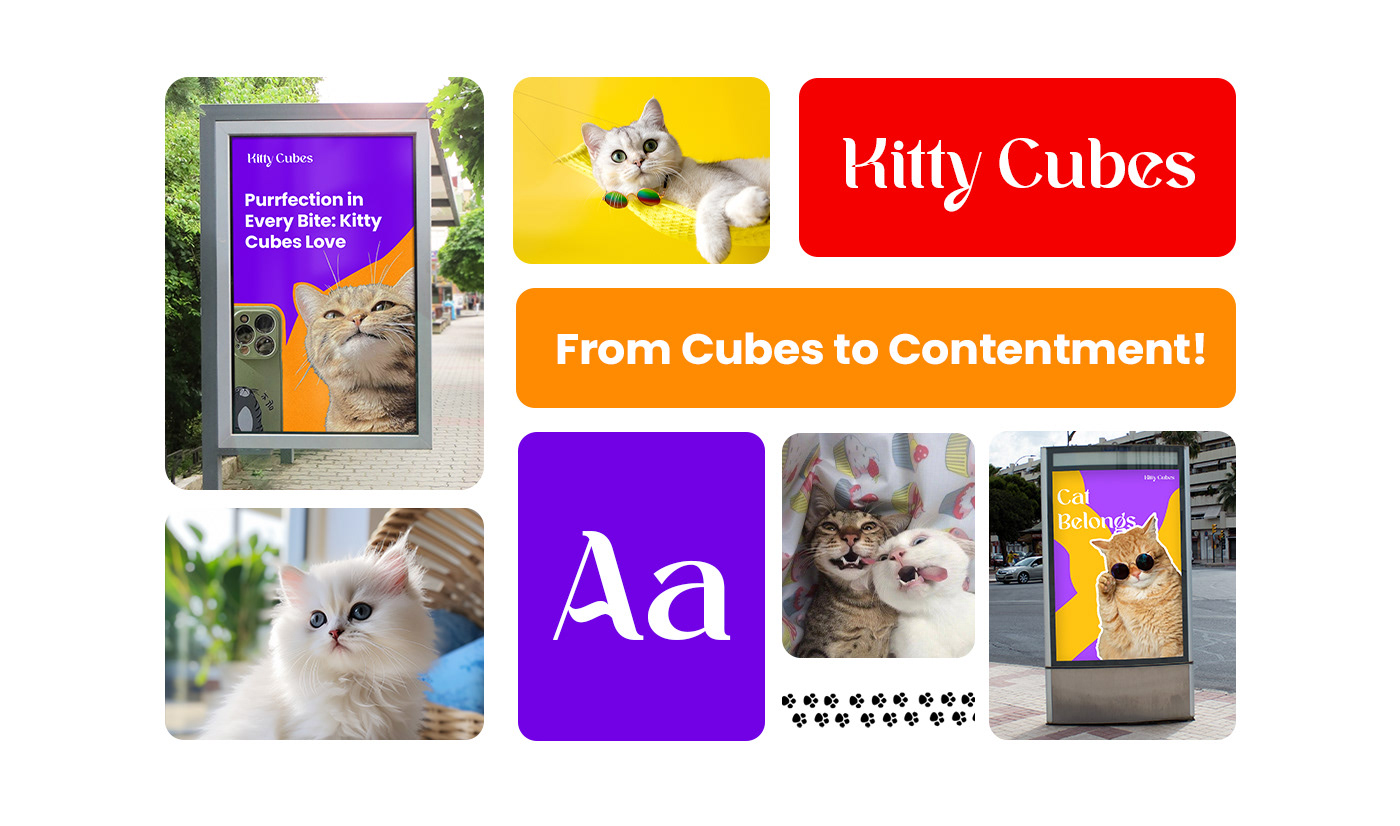 Cat cat branding  brand identity branding  Brand Design cat brand petshop animal