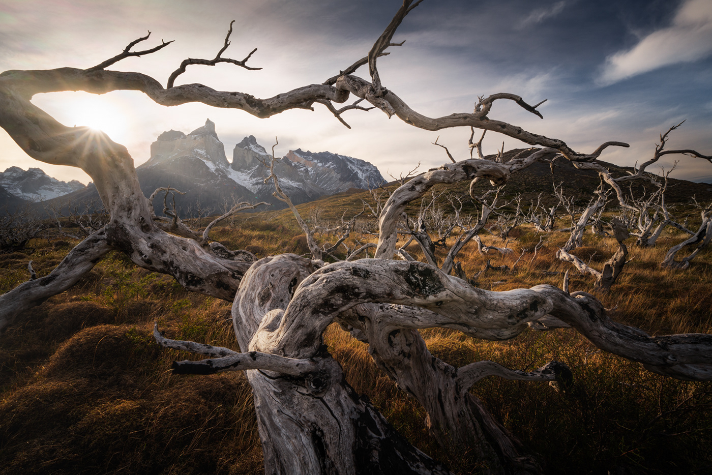 patagonia chile Torresdelpaine mountains Albert dros South America