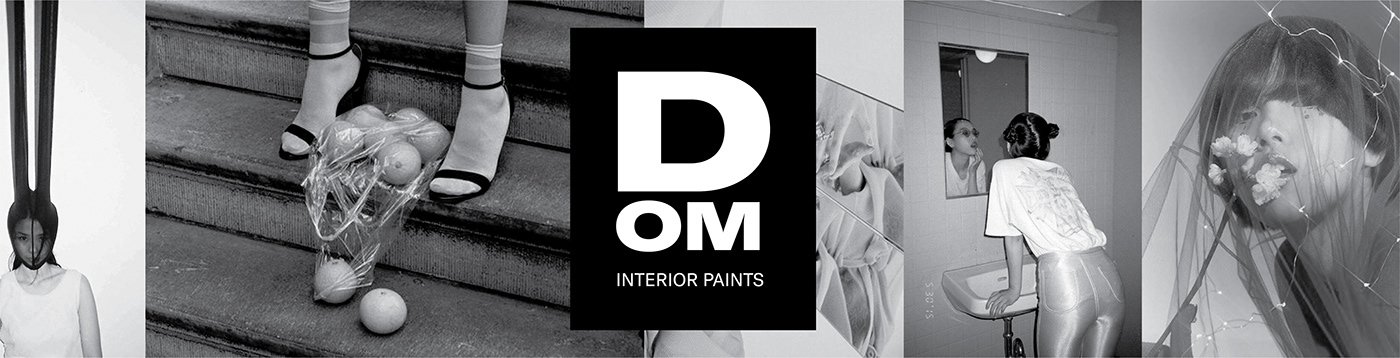 graphic design  Interior Paints dom branding  Logo Design logo