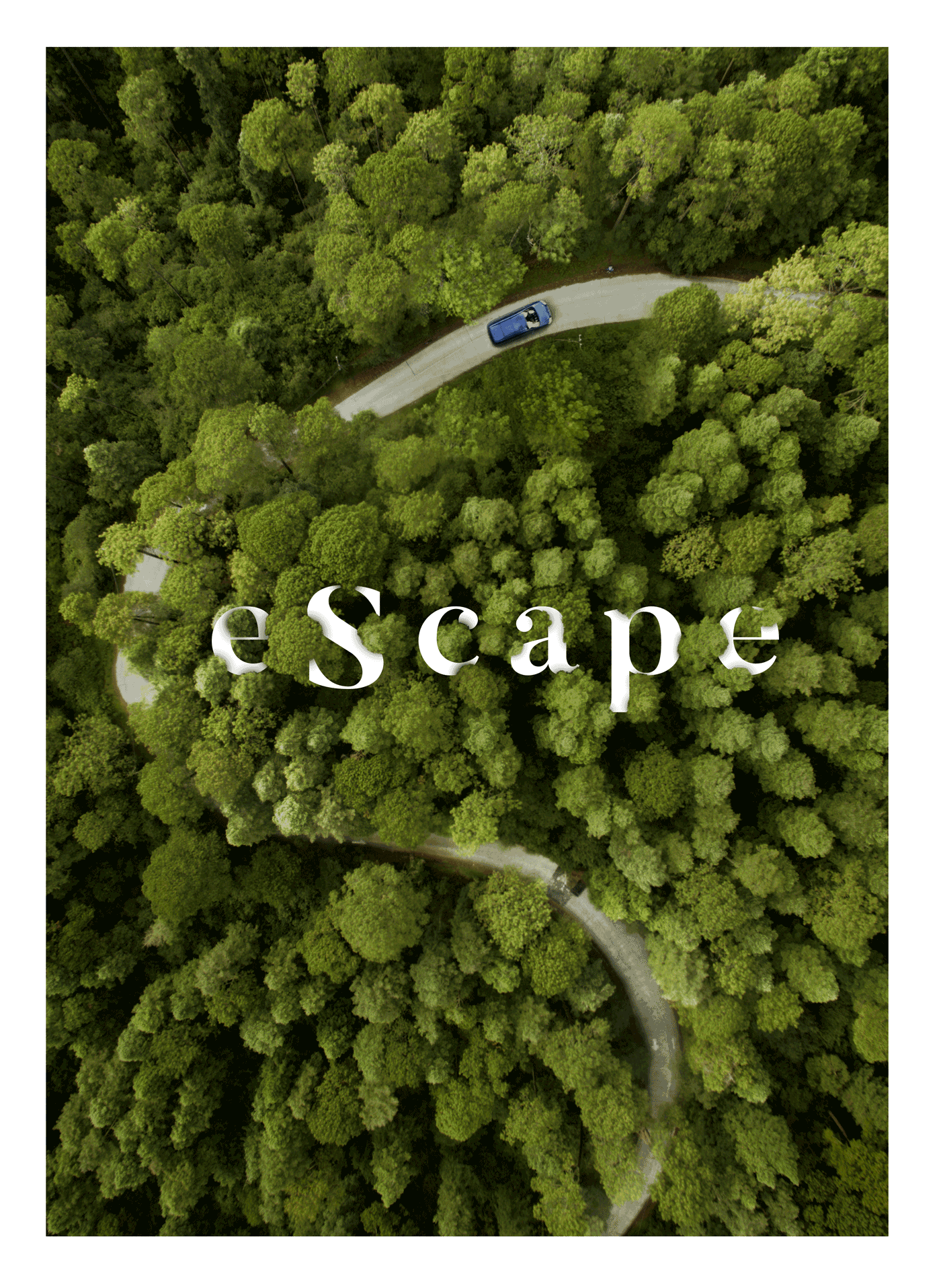 escape forest creative wish garageolimpo butler Street autumn