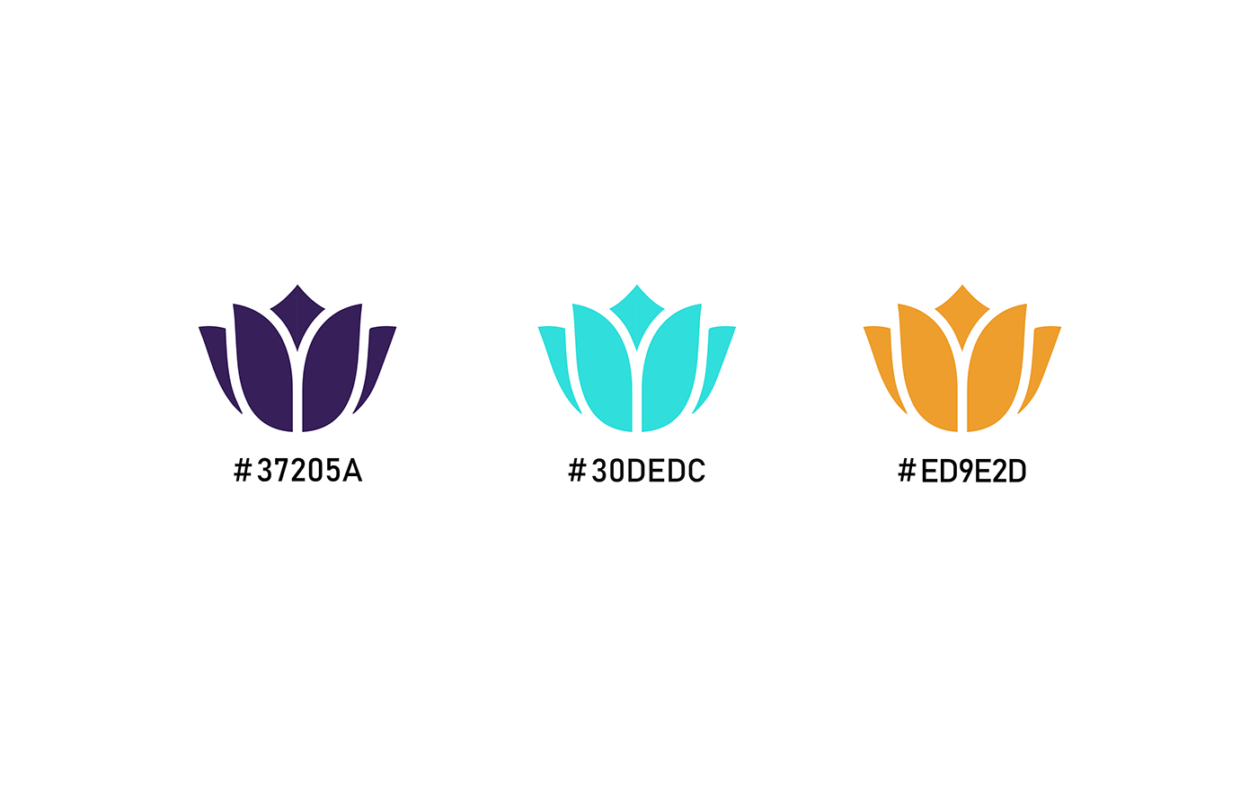 Education logo Brahar Eğitim brand branding  graphic logo tasarım Logo Tasarım tasarım