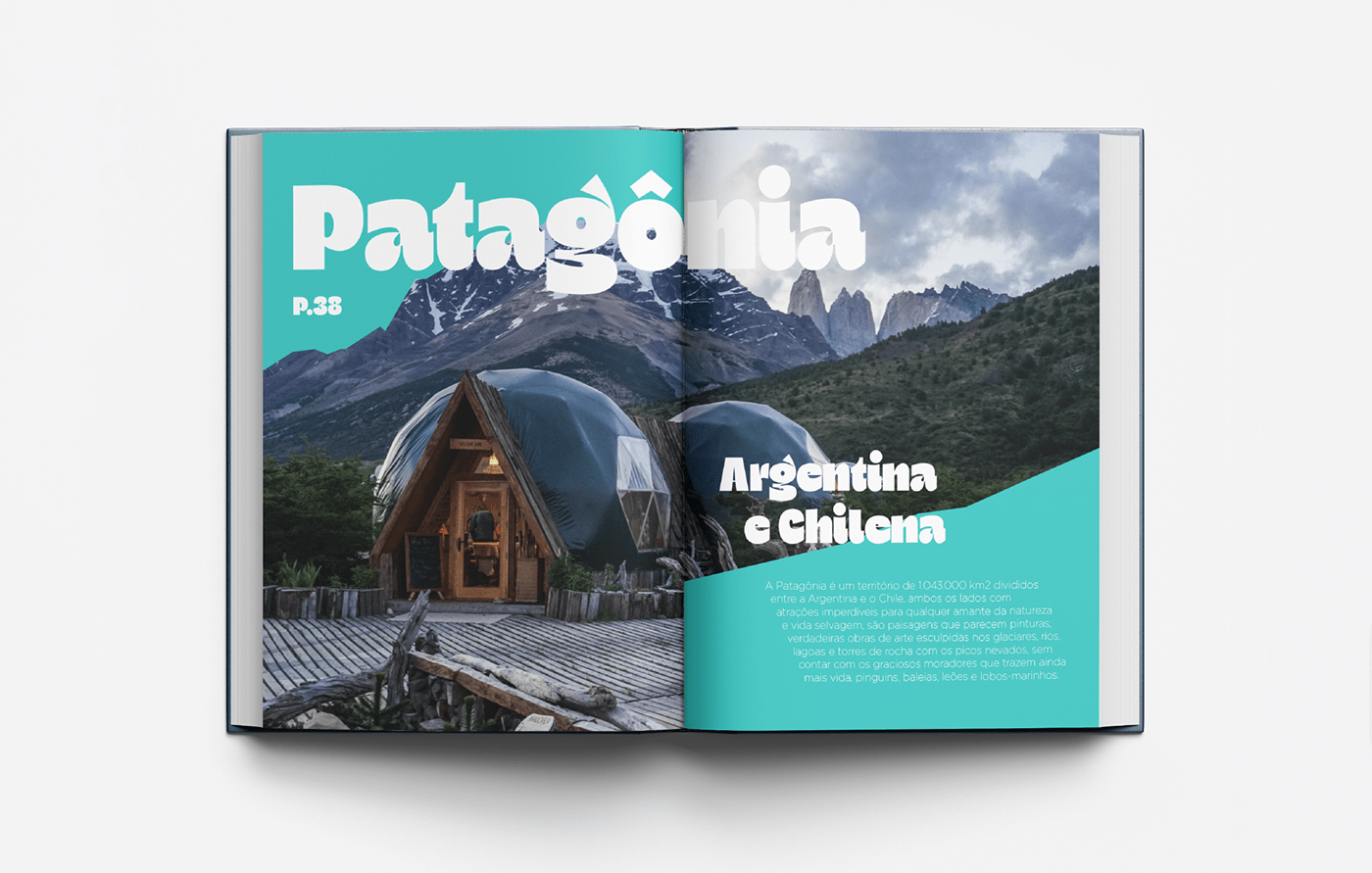 amazonia book editorial magazine Nature patagonia print typography  