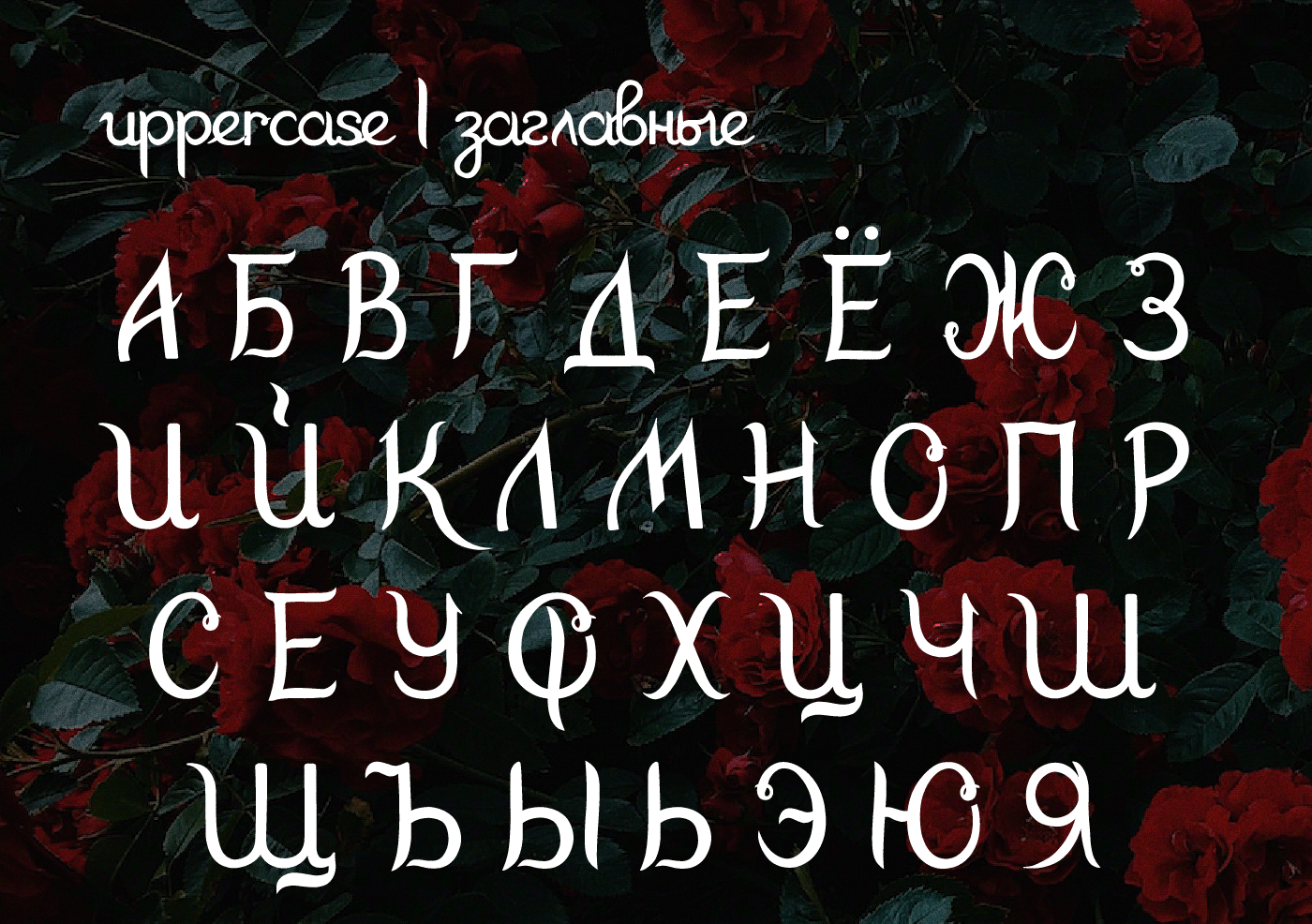font Free font FREE for commercial кириллица For Commercial Use Rosarium бесплатный шрифт Латиница   Розариум Cyrillic