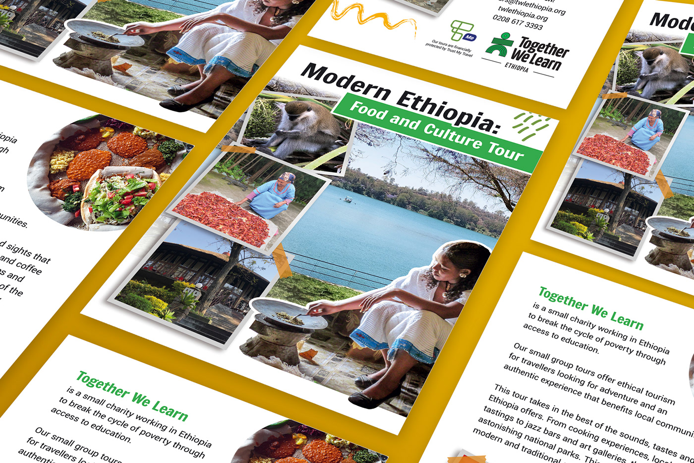 poster flyer Flyer Design ethiopia tour charity africa Travel