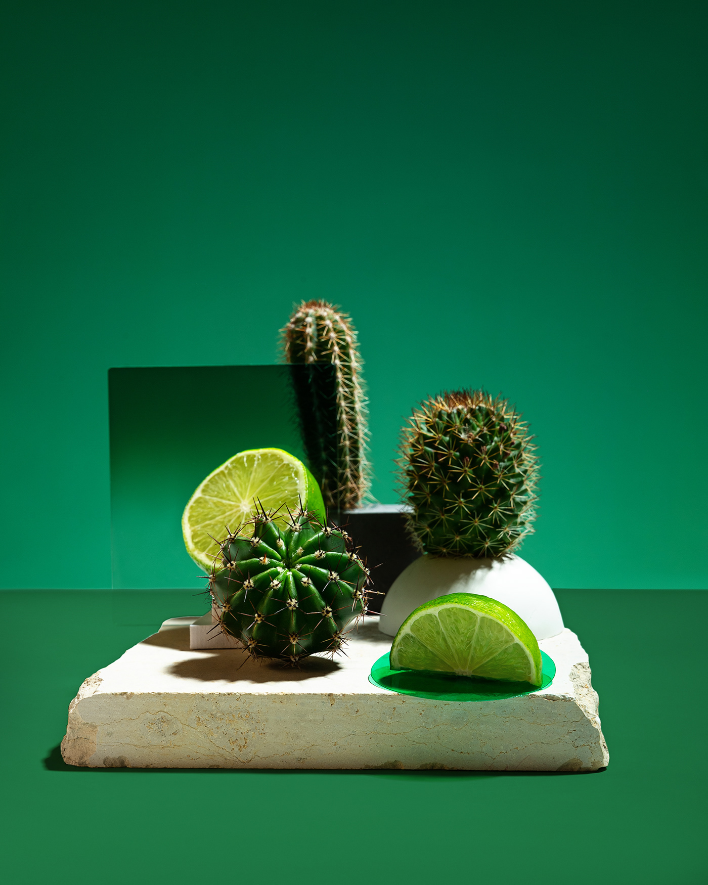lime cactus tonic green eco product Product Photography set design  Food  food photography