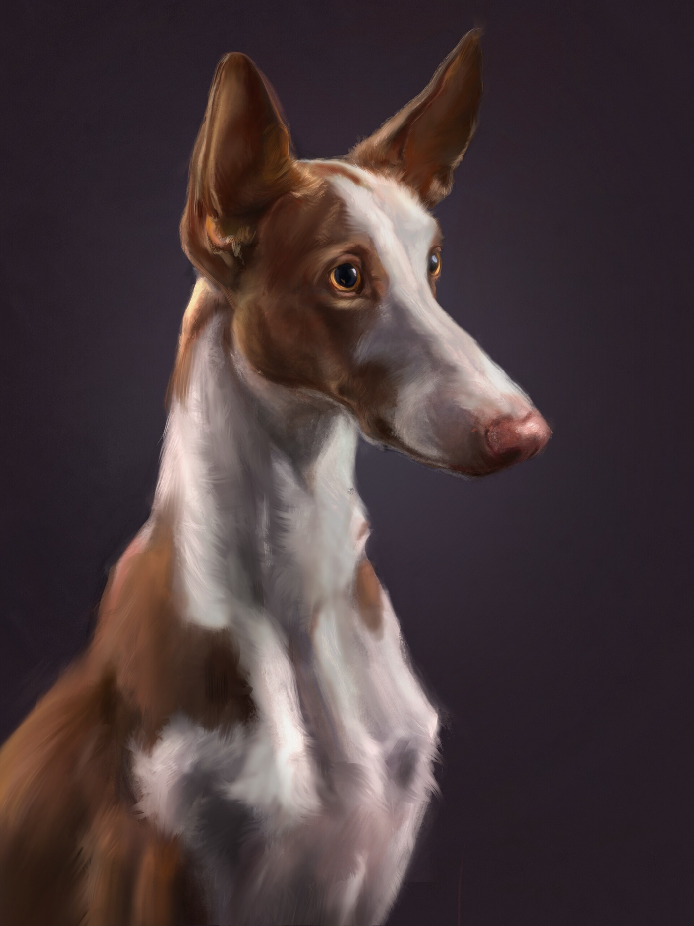 animal ILLUSTRATION  digital portrait digital painting Animal Lover dog portrait