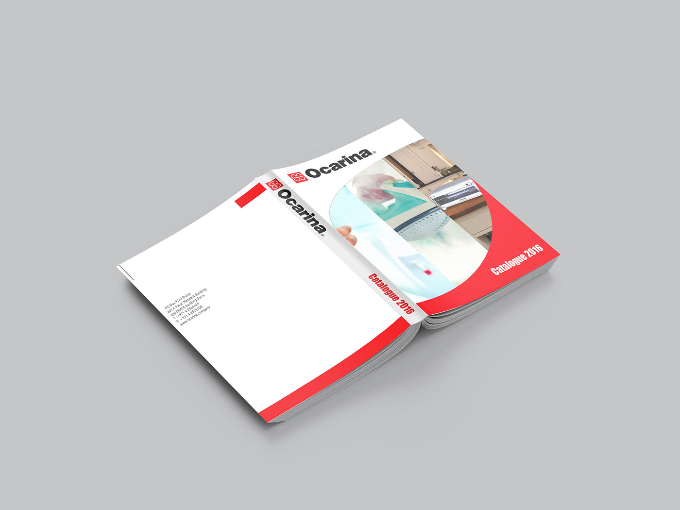 book Catalogue design InDesign Layout marketing   Photography 