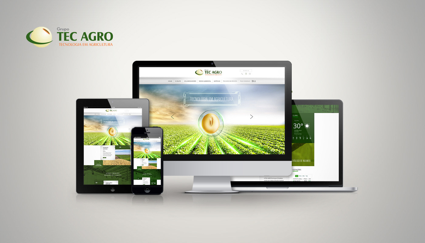 agricultura agriculture Agro branding  criação de site identidade visual marketing   marketing agency site template