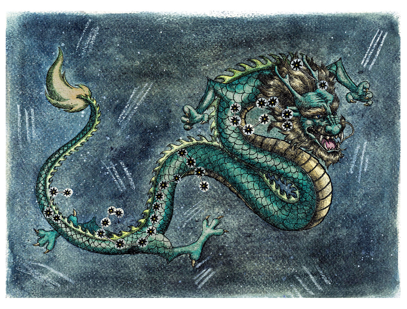ILLUSTRATION  dragon Space  constellation watercolor ink