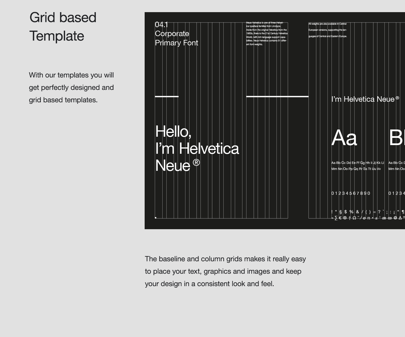 Preview of the Grid that is used in our Brand Manual Template.