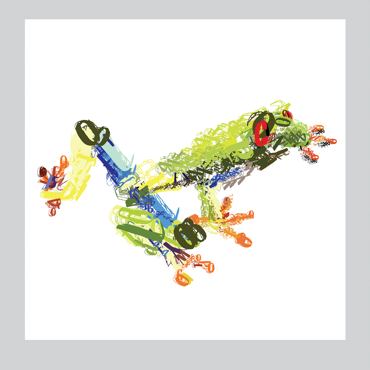 animals art color layering parrot rainforest red-eyed tree frog toucan type typography art