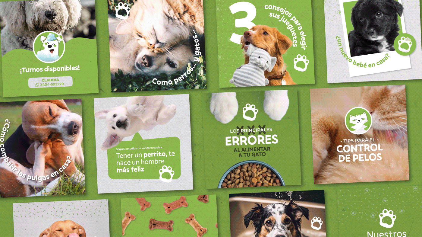 veterinaria pet shop tienda de mascotas Clinica de Mascotas Logo Veterinaria  logo petshop redes petshop veterinaria argentina