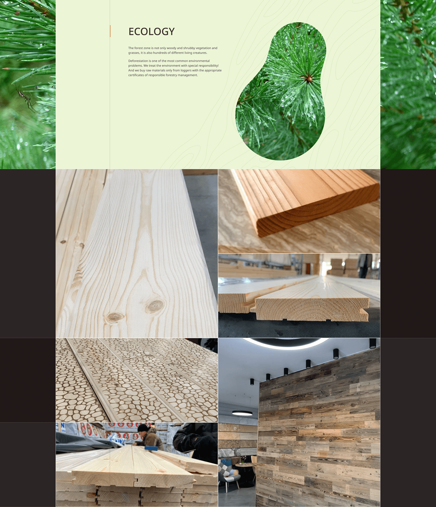 Ecommerce forest landing page lumber user interface UX design ux/ui Web Design  Website wood